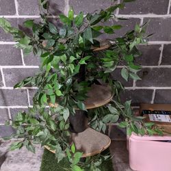 Cat Tree