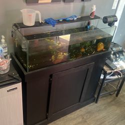 20 Gallon Fish And Tank 