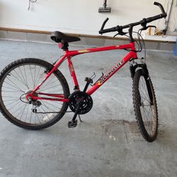 Road master Bike
