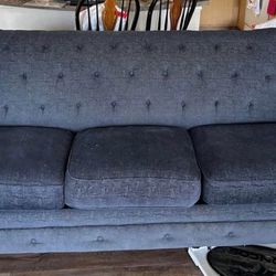 Blue Couch’s 