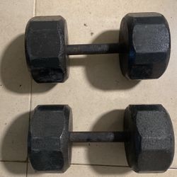 25 Lb Dumbbells 