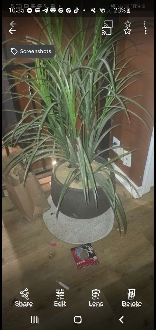 Fake Plant