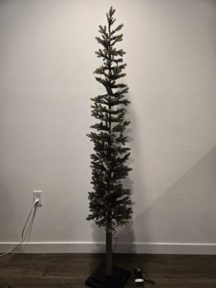 Cb2 Christmas Never Used