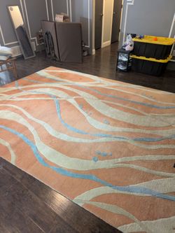 11' x 8' Area Rug