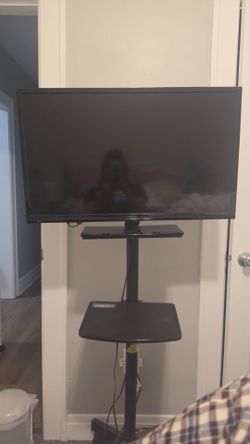 33" Insignia TV + Adjustable Floor Stand – $80 OBO