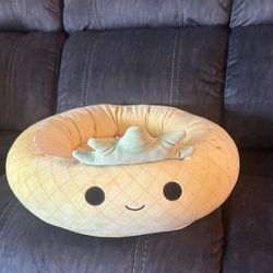 Pet Bed