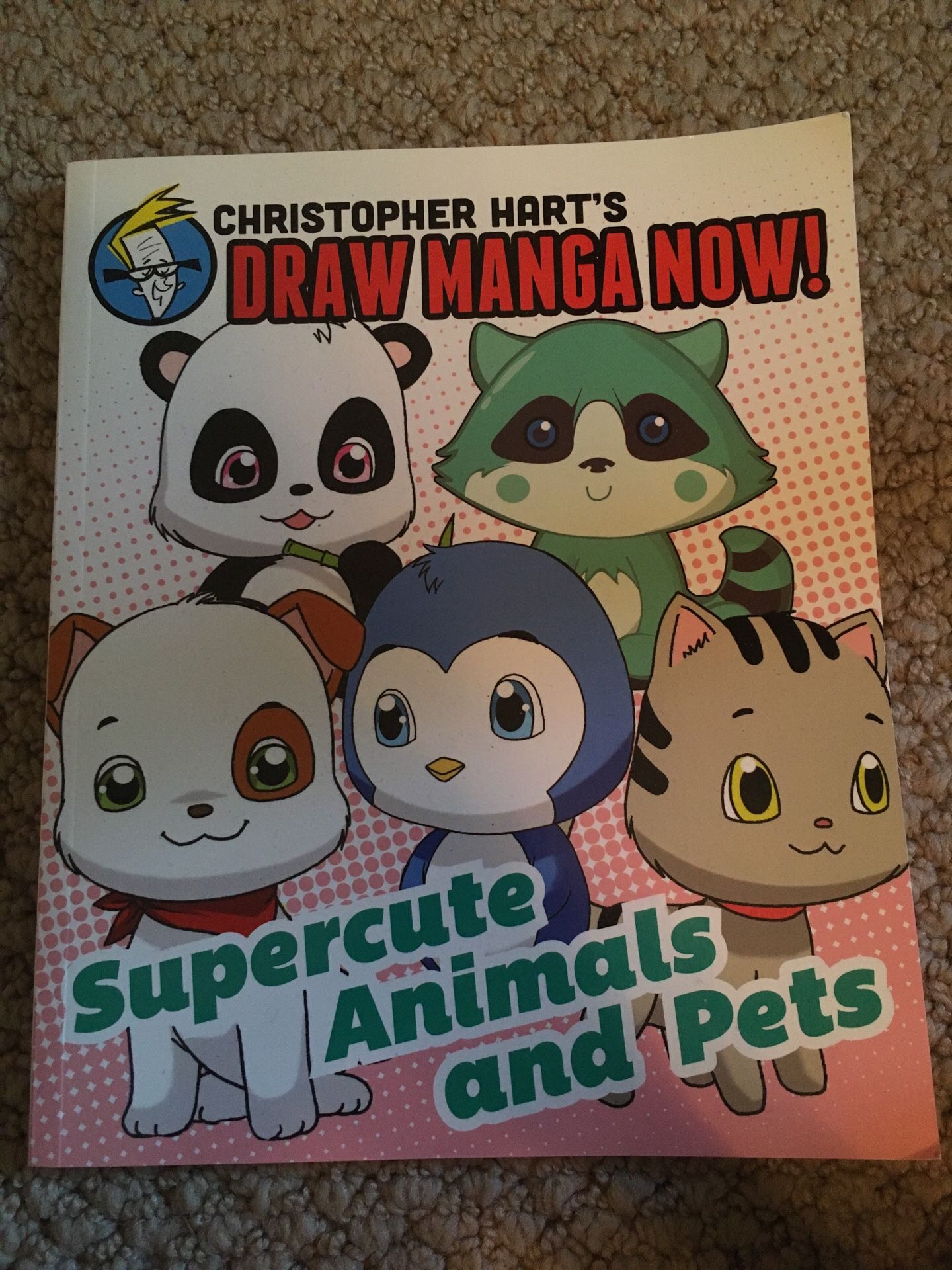 Manga drawing book