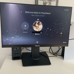 Asus Monitor 