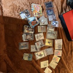 Sport Card Lot 