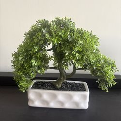 Faux Bonsai Tree