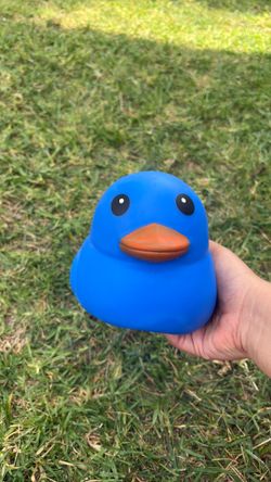 Squishy DUCKS