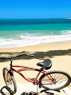 Beach Cruiser