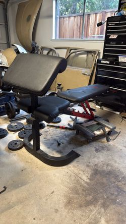 Marcy Lifting Bench & Preacher curl