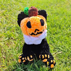 Pumpkin Bear