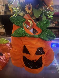 Dog Halloween Costumes 