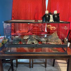 Like New 40 Gallon Zoo Med Front Opening Reptile Terrarium/Tank! (36in Length × 18in Width × 19in Height)