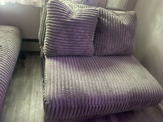 6 month old couch