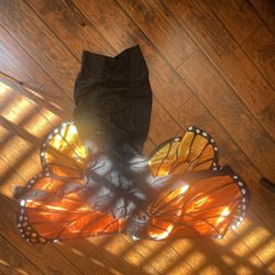 Butterfly Costume 