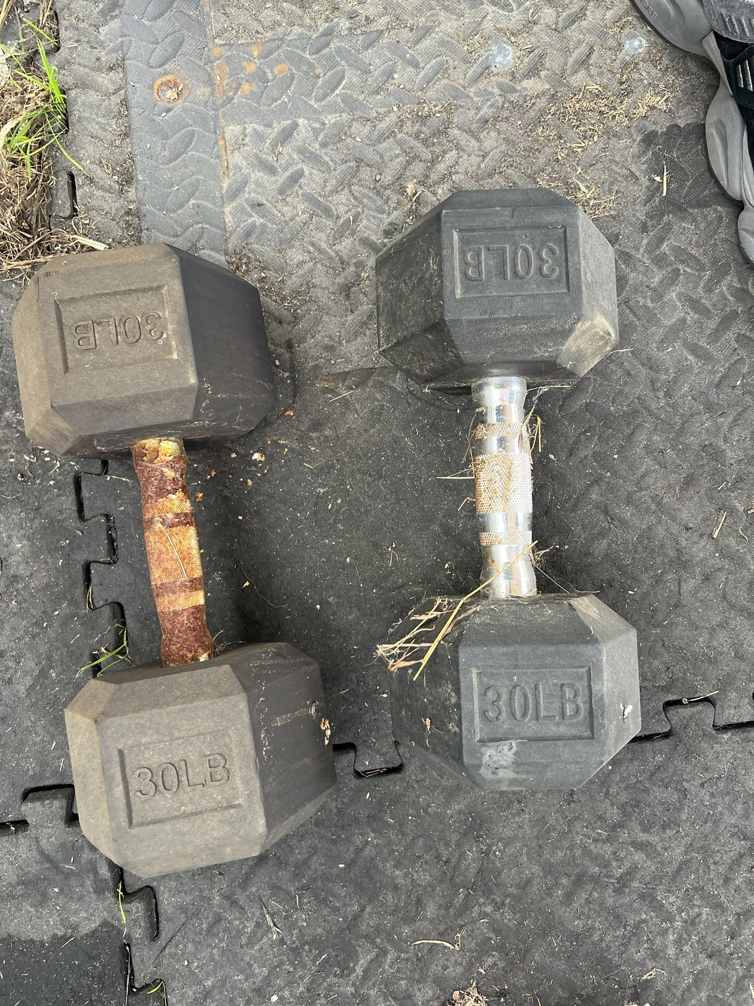 30 Pound Dumbbells 