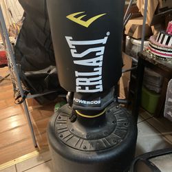 Punching Bag