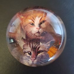 Kitty Cats Glass Dome Paperweight Precious!