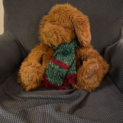 Stuffed Animal 