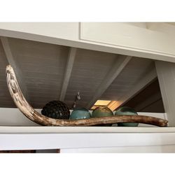 Wooly Mammoth Tusk