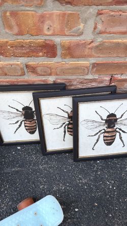 Decorative Pictures