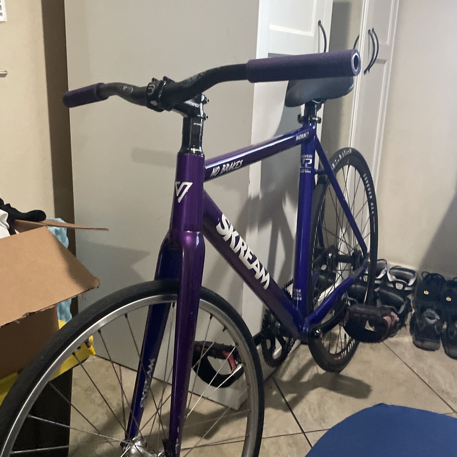 Skream Magnum 22 Violet [size55]