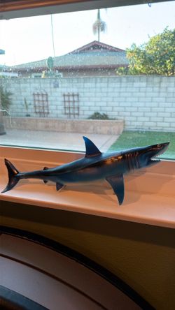 Shark toy
