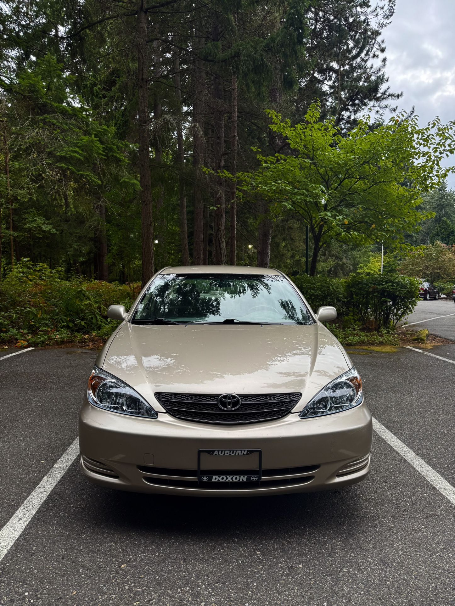 2003 Toyota Camry