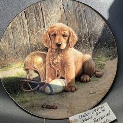 Golden Retriever Football Limited Edition Collectors Plate 