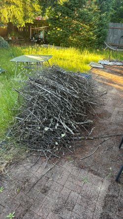 Free dried up wood branches