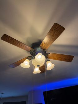 Ceiling Fan