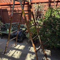 Ladder adjustable 4’-12’