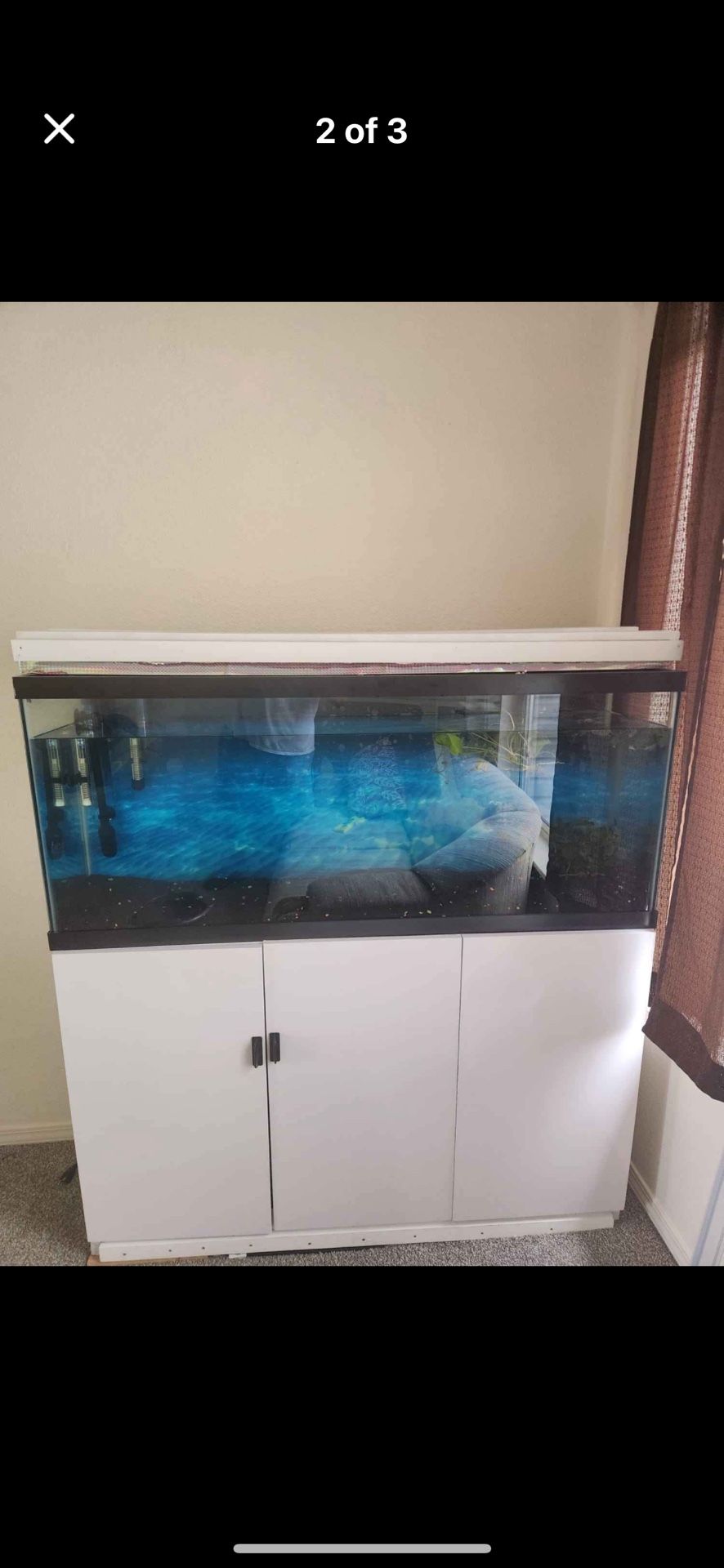 Selling This 55g Fish Tank And Stand