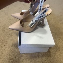 Dior Nude Heels