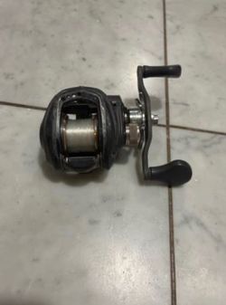 Lews LFS baitcasting reel size 100