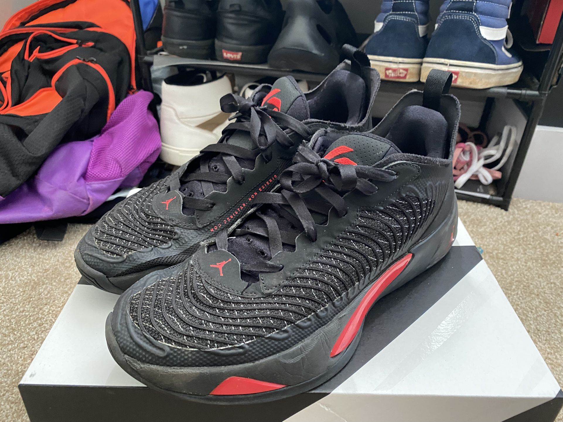 Jordan Luka 1 Bred 