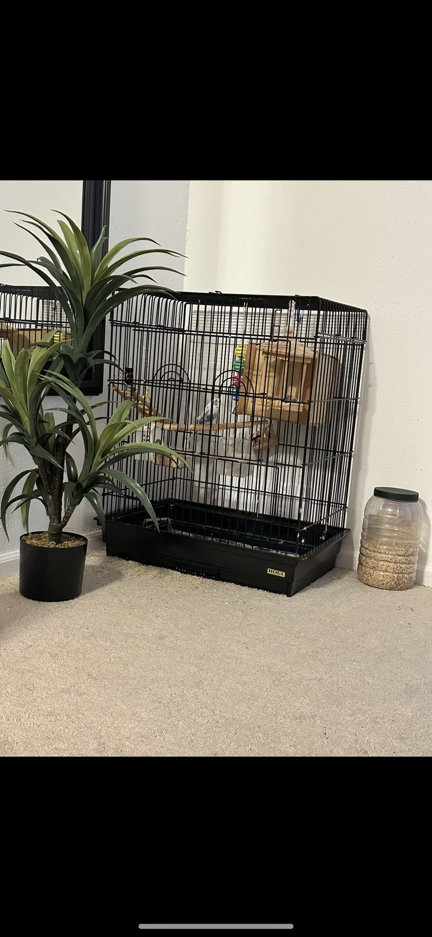 Bird And Bird Cage