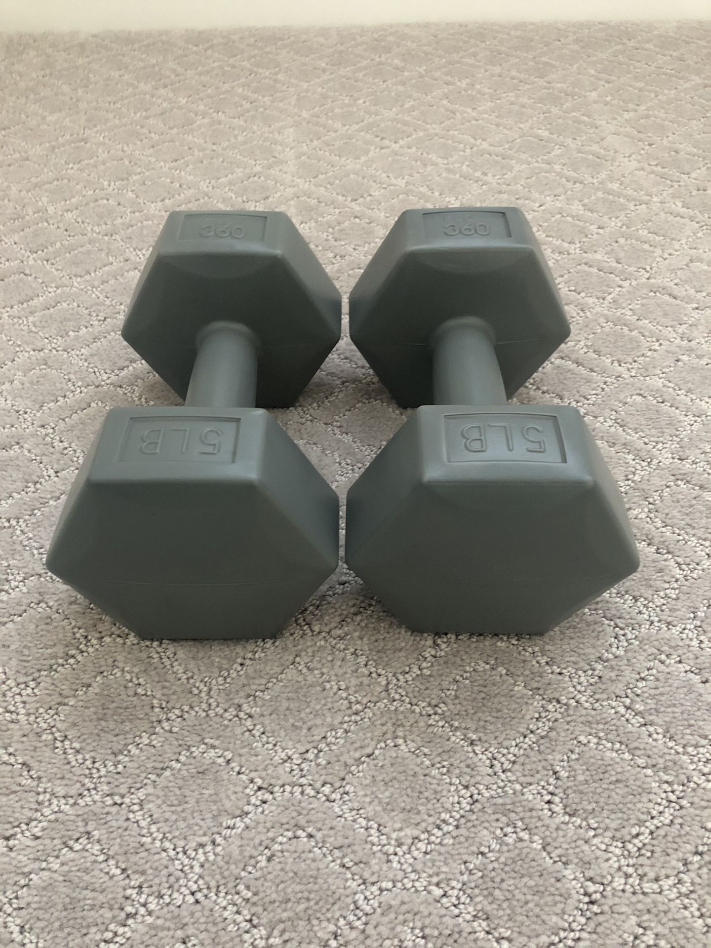 5 lb Dumbbell Pair/Weights