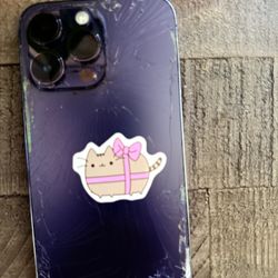 iPhone 14pro Max