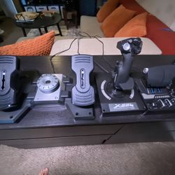Logitech Hotas X56 + Logitech Flight Rudder Pedals + PC Gaming