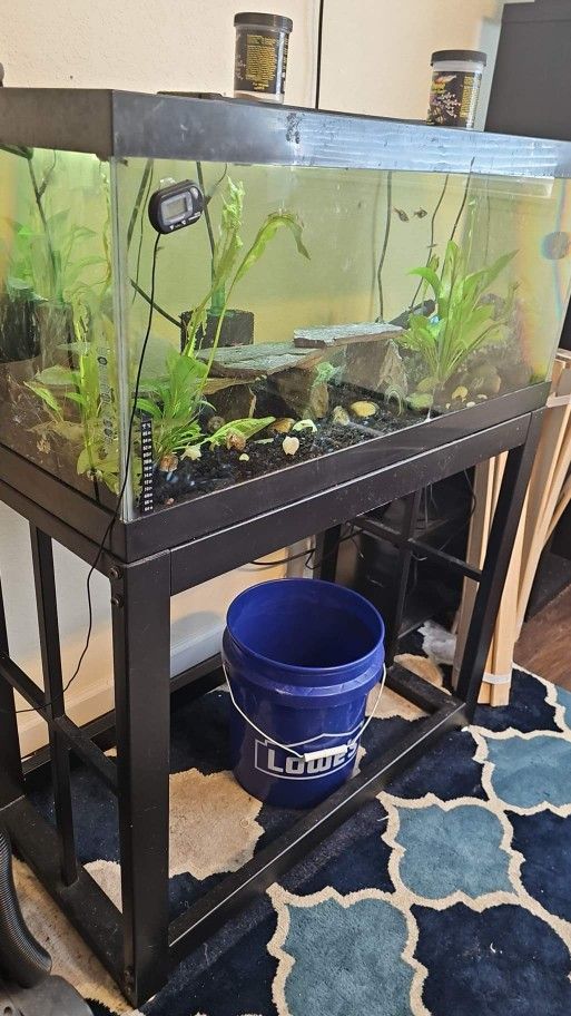Aquariums And Stands