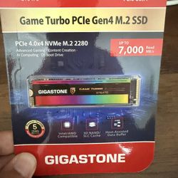 Gigastone Gen 4 NVMe M.2