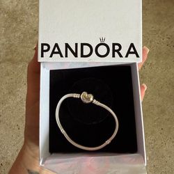 Pandora charm bracelet