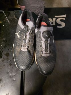 Puma golf
