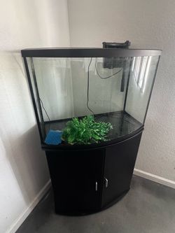 Bow Front Aquarium Tank with Stand