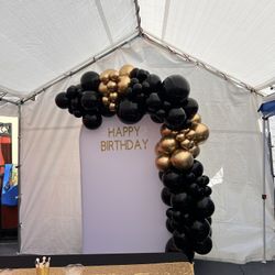 backdrop and balloon garland