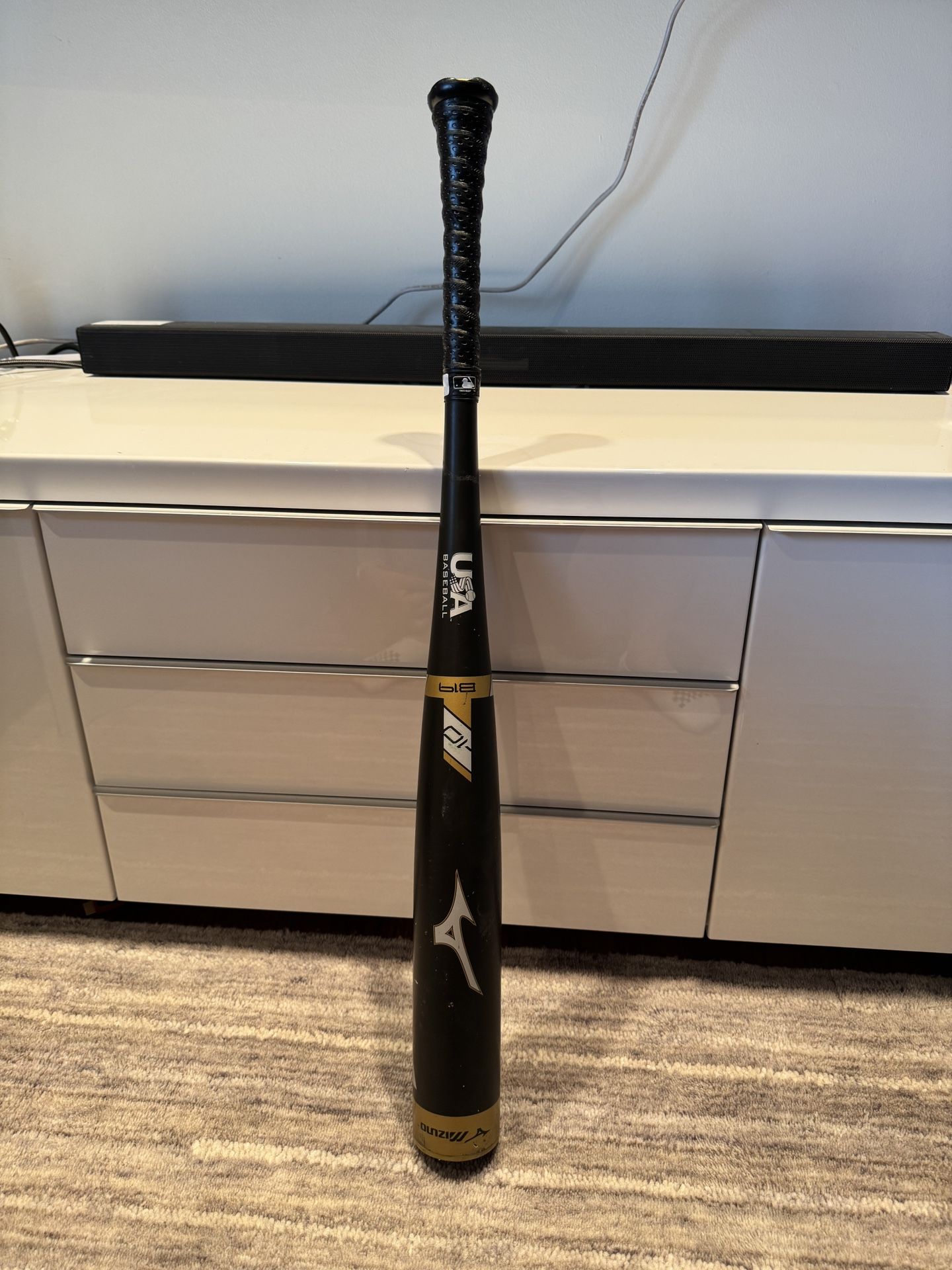 Mizuno B19 Baseball Bat